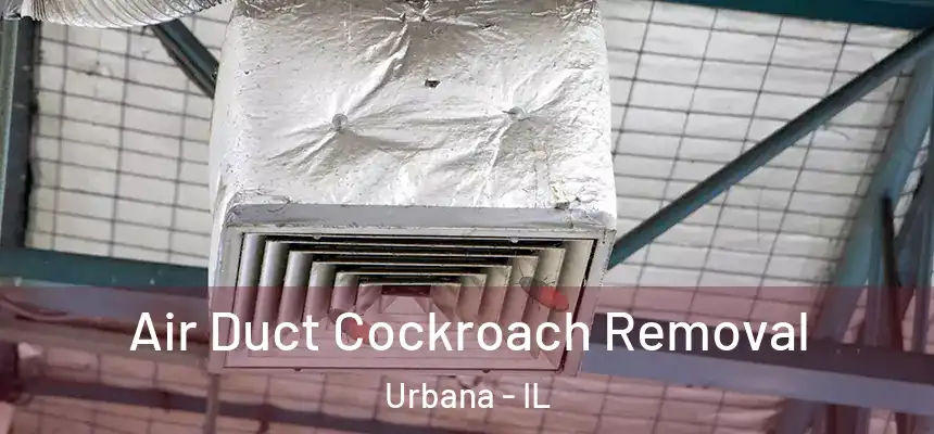 Air Duct Cockroach Removal Urbana - IL