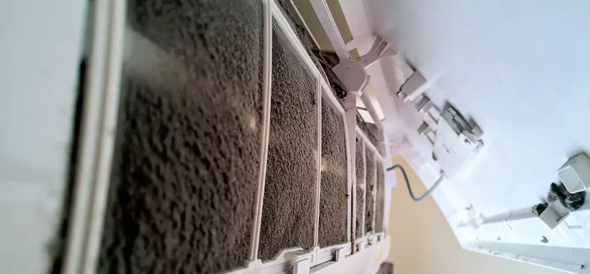 Preventive Air Duct Bacteria Removal in Urbana