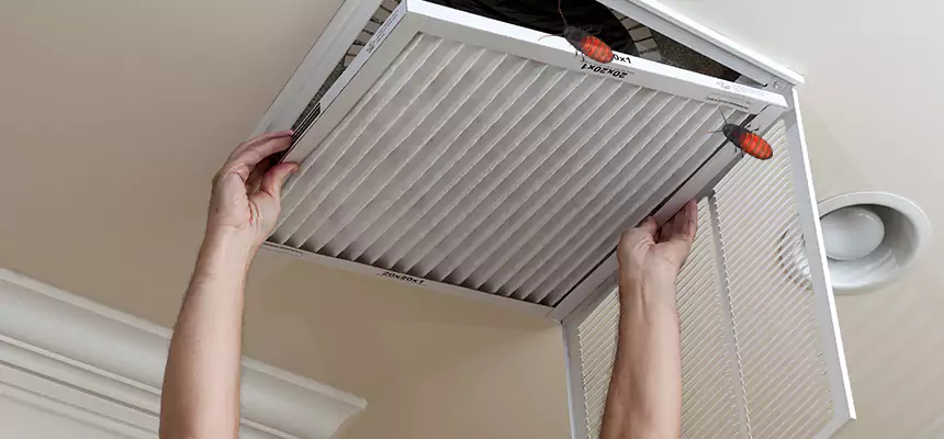 Preventive Cockroach-Proofing for Ducts in Urbana