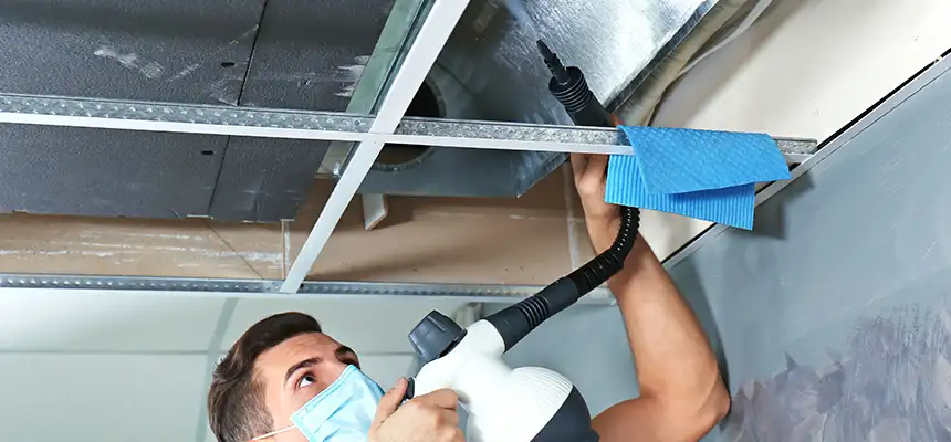 Our Air Duct Rodent Removal Services in Urbana, IL