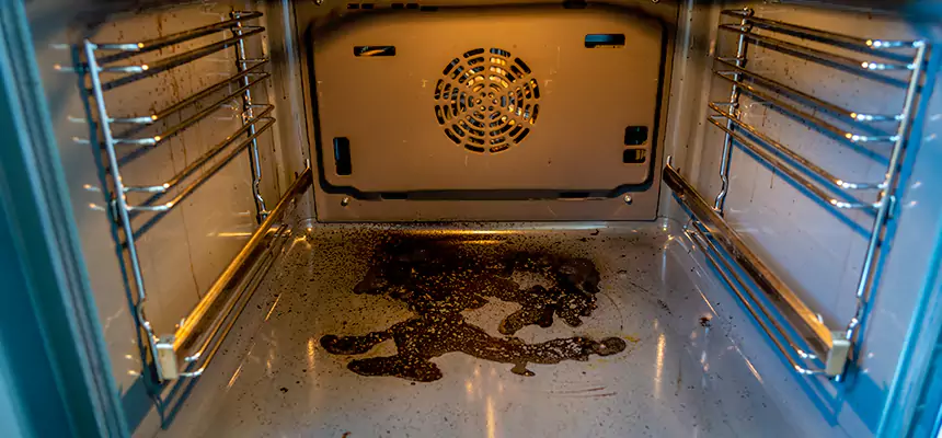 Our Dryer Vent Mold Cleaning Services in Urbana, IL