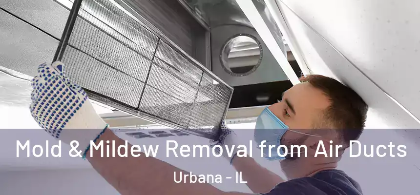  Mold & Mildew Removal from Air Ducts Urbana - IL