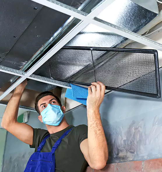 About Air Duct Bacteria Removal in Urbana