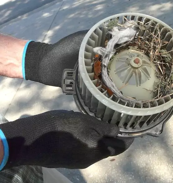 About Air Duct Mice Removal in Urbana, IL