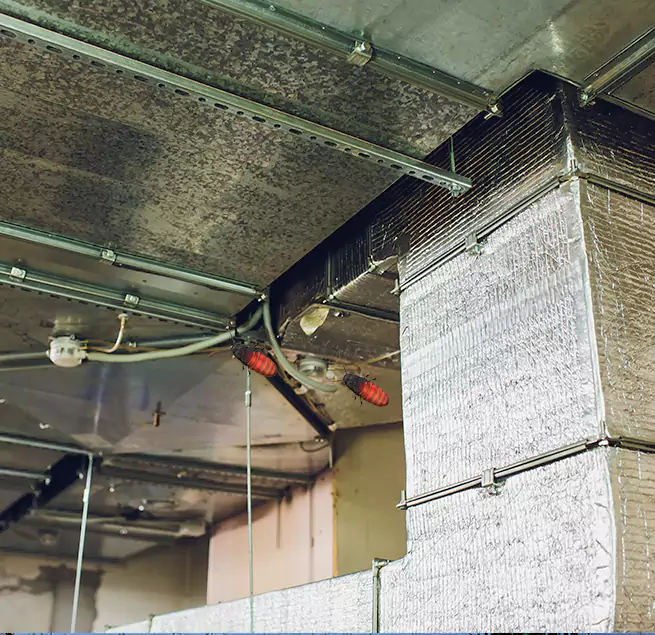 Why Homeowners & Businesses Trust Us in Urbana, IL?