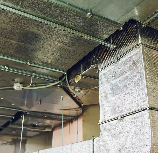 Why Homeowners & Businesses Trust Us in Urbana, IL?